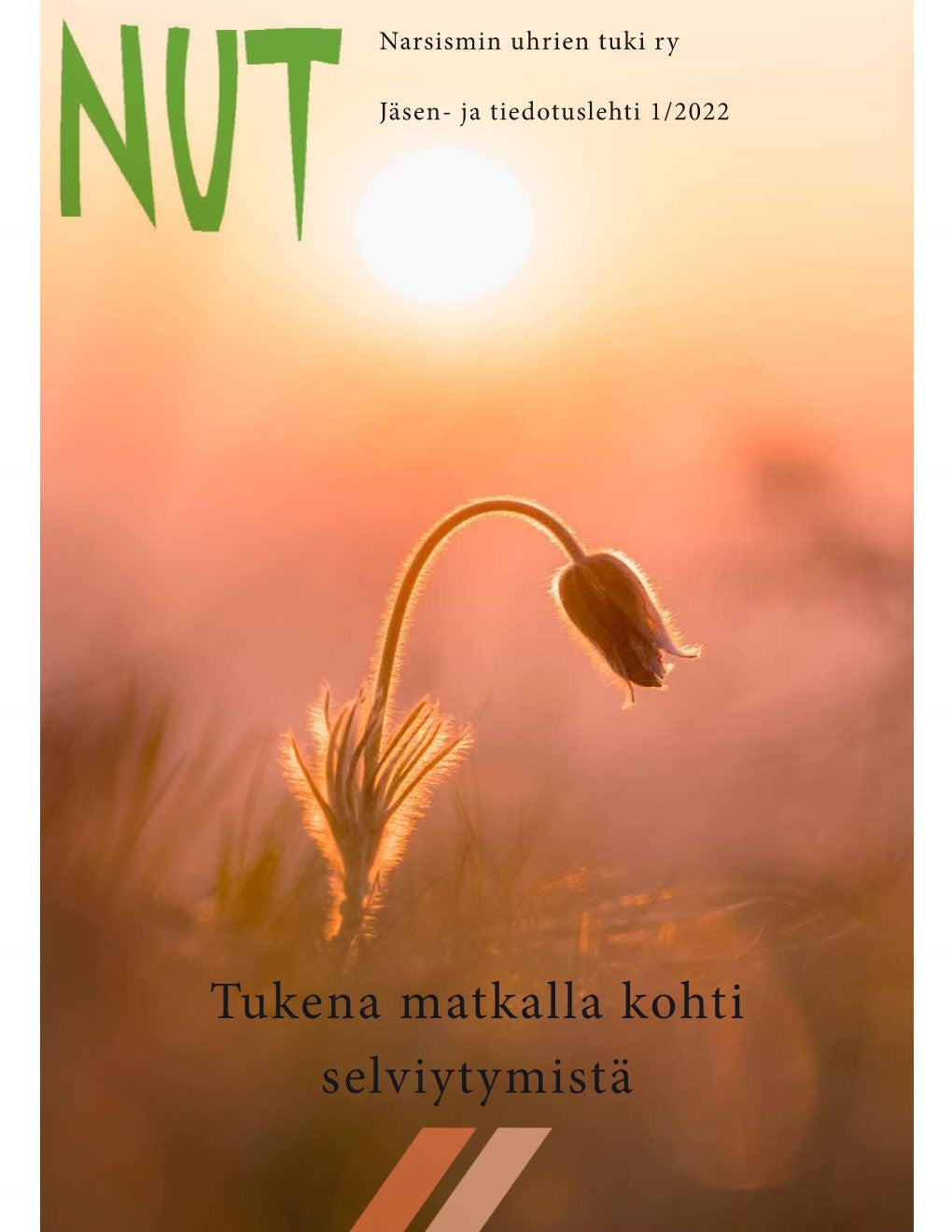 NUT-lehti 1-2022 PDF